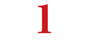 N-1グループ公式ロゴ